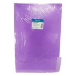 CARPETA PLASTICA CON LEGAJADOR TAMAÑO OFICIO COLOR MORADO
