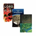 PLAN LECTOR INGLÉS 10mo GRADO 2025/26